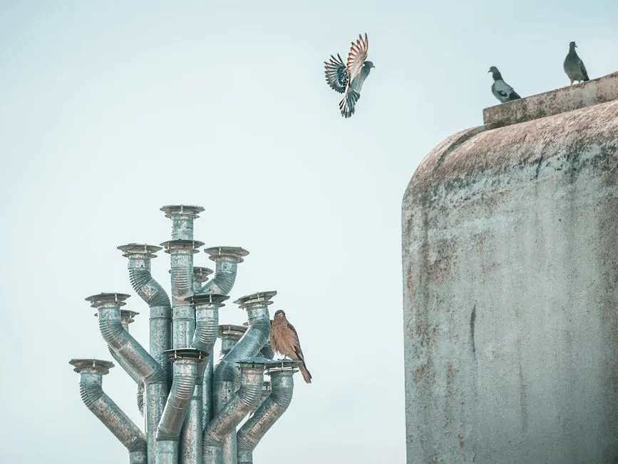 Pigeons perched and flying near a metal structure against a clear blue sky, capturing urban nature.